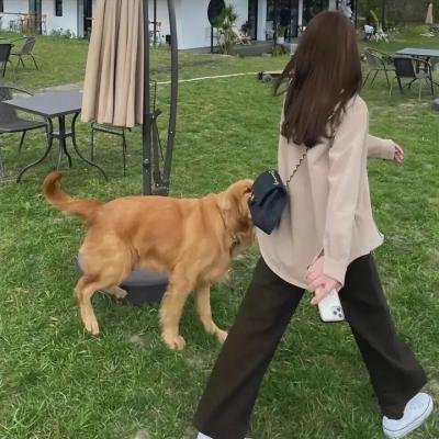 独角猫!第三季